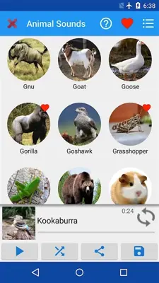 Animal Sounds android App screenshot 9