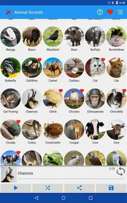 Animal Sounds android App screenshot 2