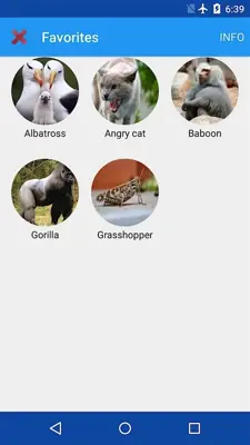 Animal Sounds android App screenshot 7