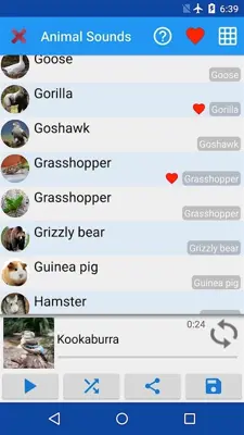 Animal Sounds android App screenshot 8